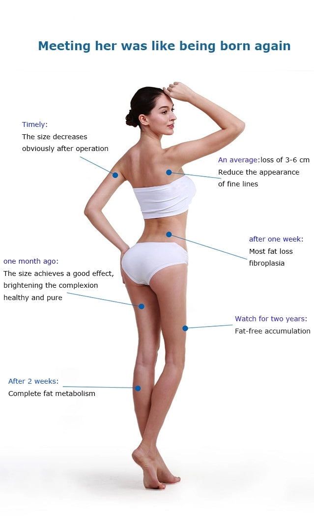 V8L 4 In 1 Body Contouring Effective Weight Loss Beauty Equipment