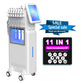 Hot Selling SPA-M39 Remover Vacuum Hydra Microdermabrasion Machine Oxygen Skin Tighten Oxygen Therapy Facial Machine