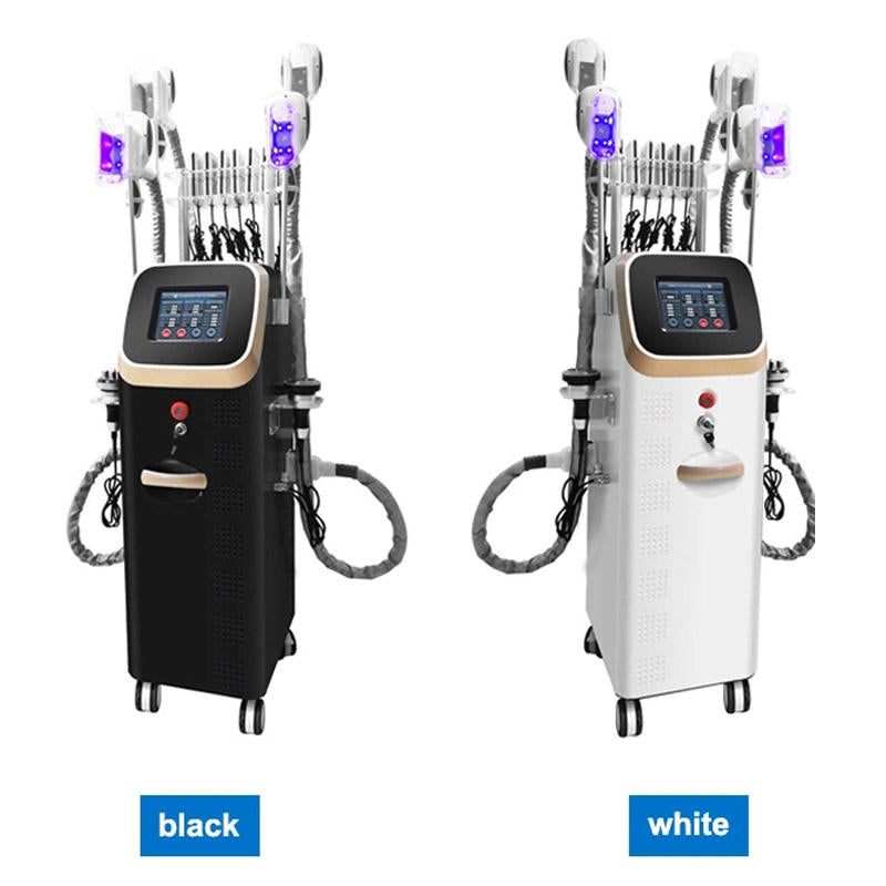 Professional Vertical Frozen Fat Dissolving Cavitation Slimming Machine for Home Use