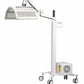 Vertical Led Light Therapy Professional Beauty Equipment PDT Led Light Therapy