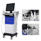 SPA800 12 In 1 Alice Bubble Peptide Facial Peeling Hydra Skin Care Beauty Machine