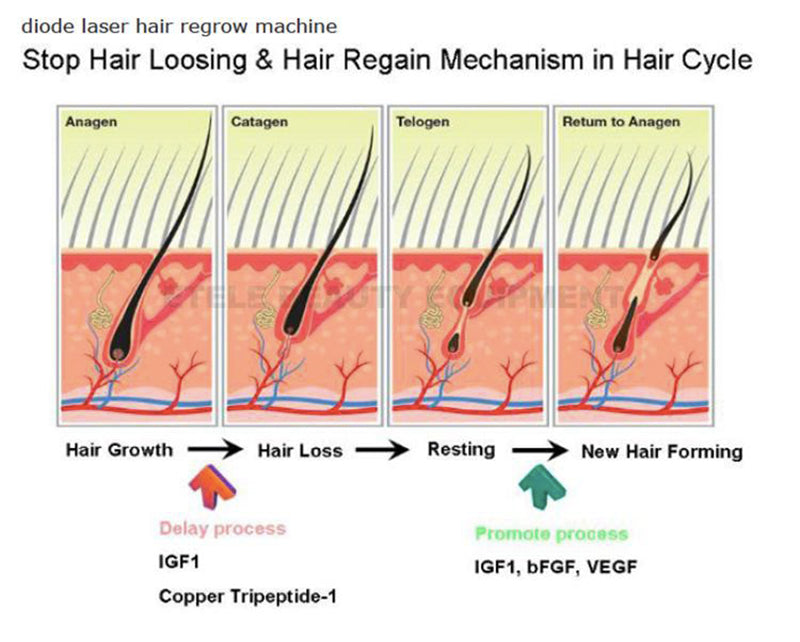 Laser pdt light therapy/anti-hair loss and skin rejuvenation machine